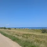 4 Person In *