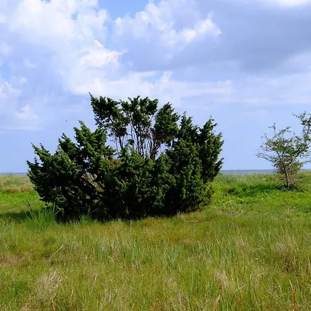 4 Person In Hébergement de vacances Gedser