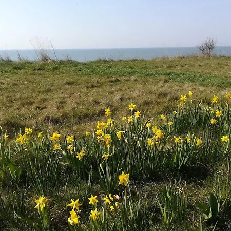 Hébergement de vacances 4 Person In *